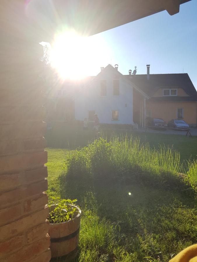 Cederika Věžovatá Pláně